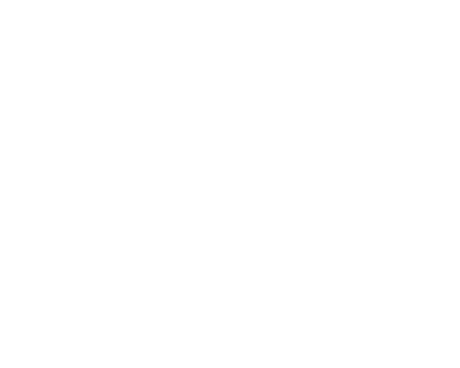 Chicago Bed Bug Killer